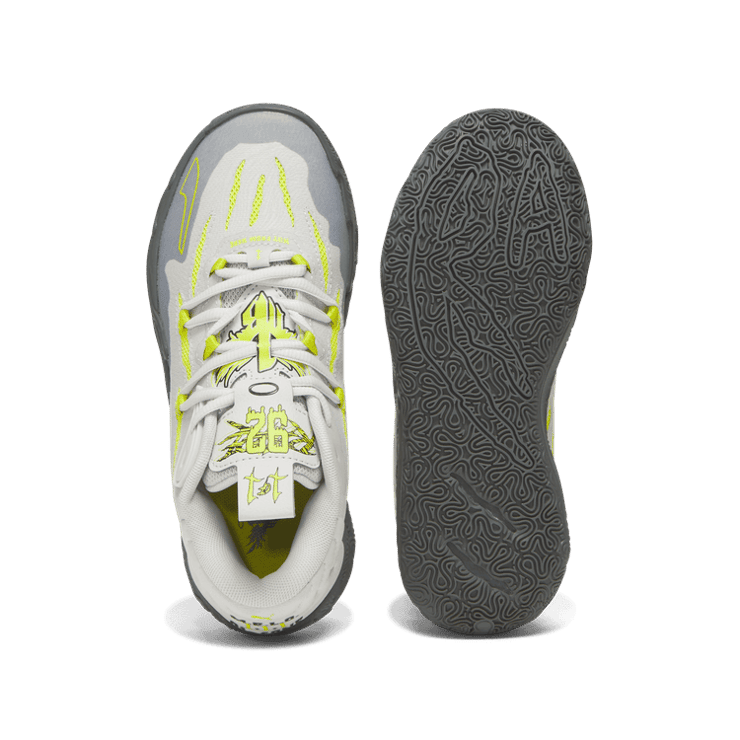 Puma Chino Hills (GS) 379292-01 Raffles Where to Buy