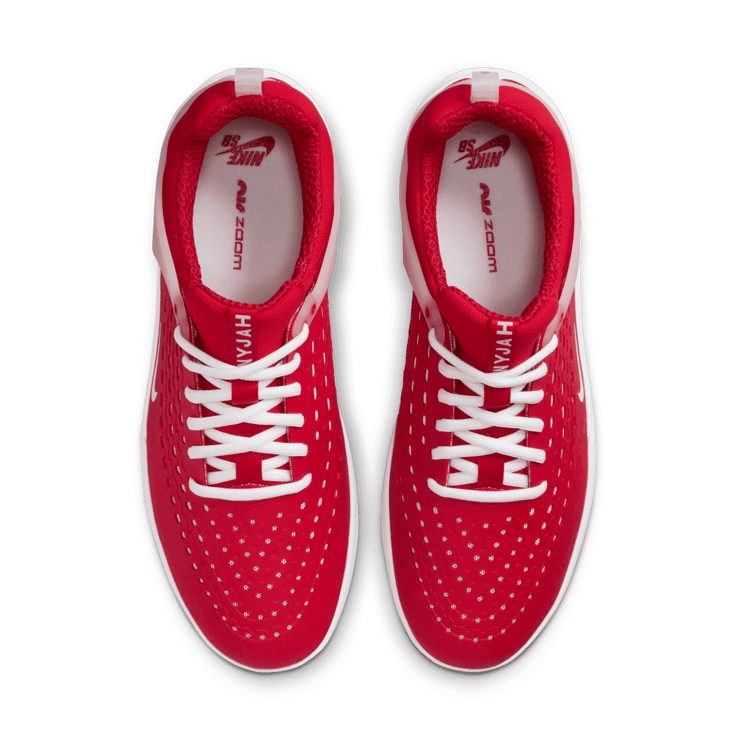 Nike SB Zoom Nyjah SB 'University Red White' DV1187-600