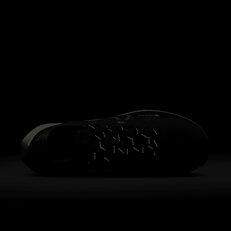 Nike React Pegasus Trail 4 GORE-TEX 'Anthracite Ale Brown' Angle 6