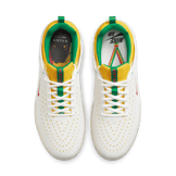 Nike SB Zoom Nyjah 3 Premium SB 'Rastafarian' Angle 1