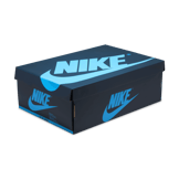 Air Jordan 1 Retro High OG First in Flight (W) Angle 8