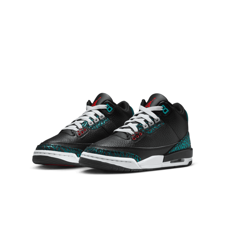 Air Jordan 3 Retro SE Moto (GS) Angle 2
