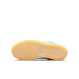 Nike Dunk Low Nike 101 (GS) Angle 0