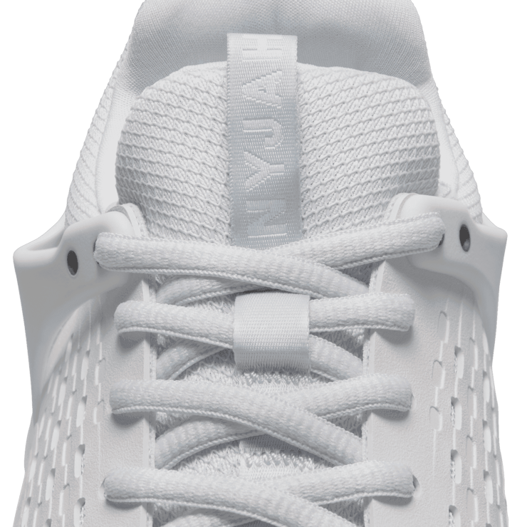 Nike SB Zoom Nyjah 3 Skate Angle 6