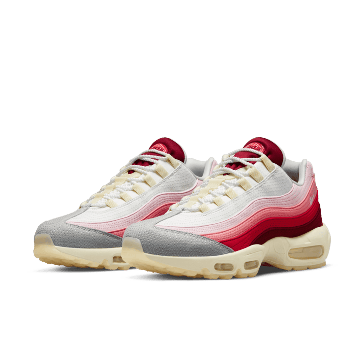 Nike Air Max 95 Anatomy of Air Angle 2