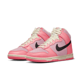 Nike Dunk High Hoops (W) Angle 2