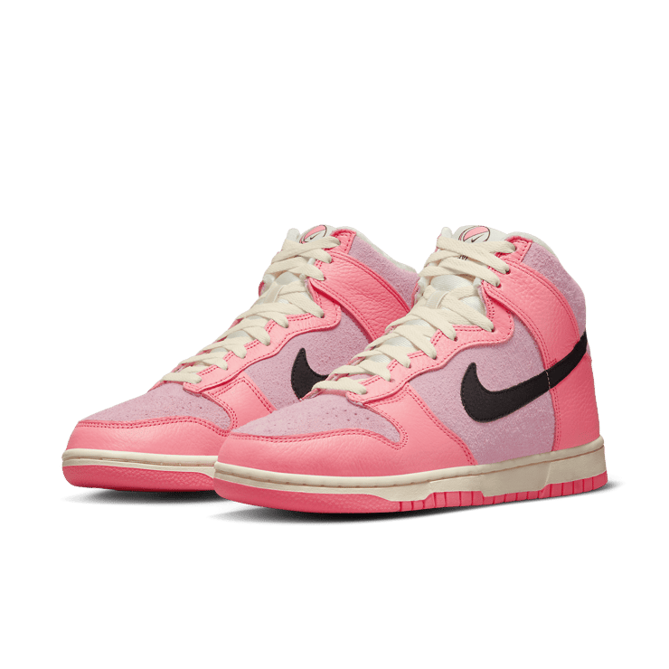 Nike Dunk High Hoops (W) Angle 2