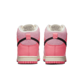 Nike Dunk High Hoops (W) Angle 3