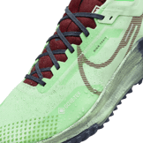 Nike Pegasus Trail 4 GORE-TEX Waterproof Trail Angle 8
