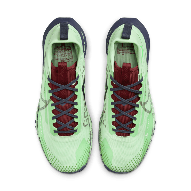 Nike Pegasus Trail 4 GORE-TEX Waterproof Trail Angle 1