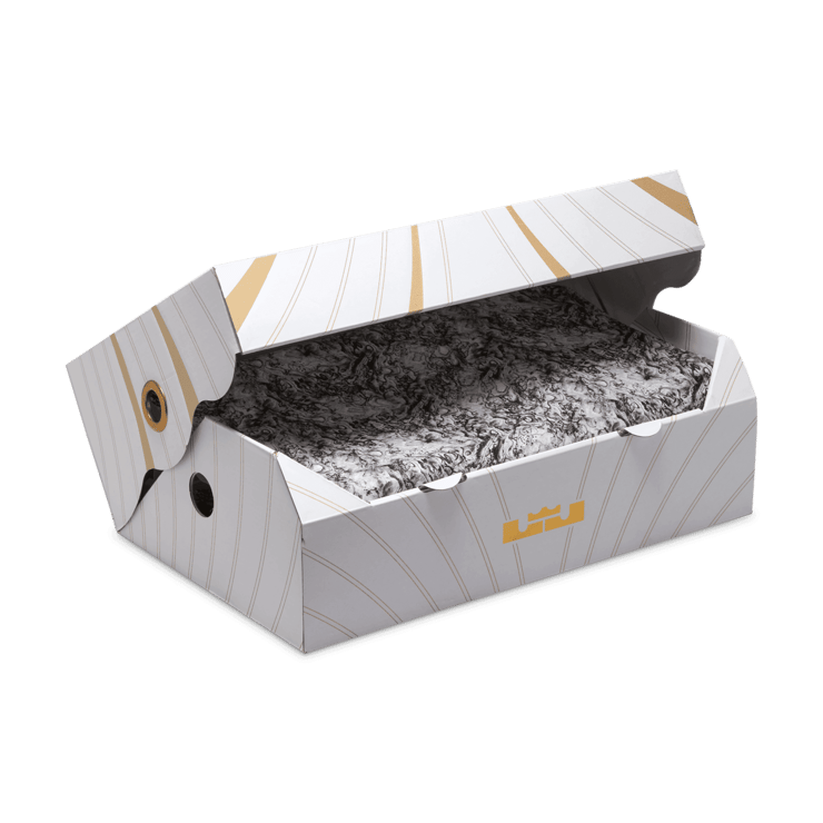 Nike LeBron 21 Queen Conch Angle 6