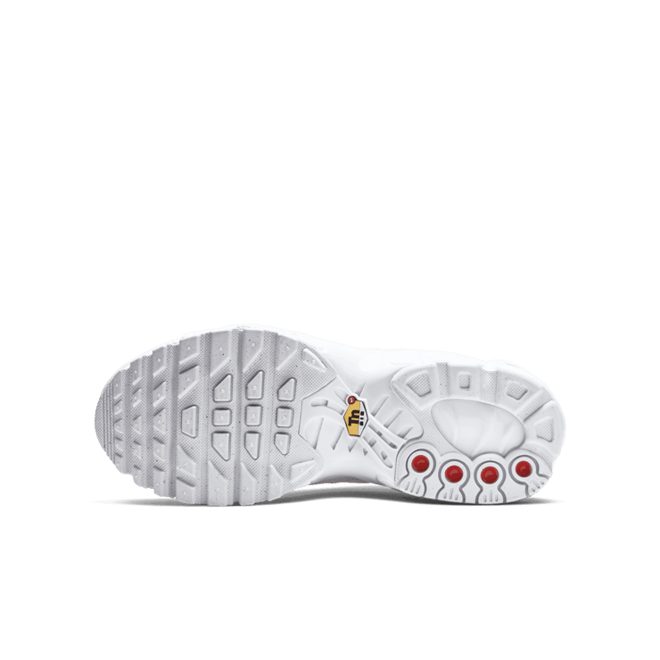 Nike Air Max Plus GS 'White Metallic Silver' Angle 0