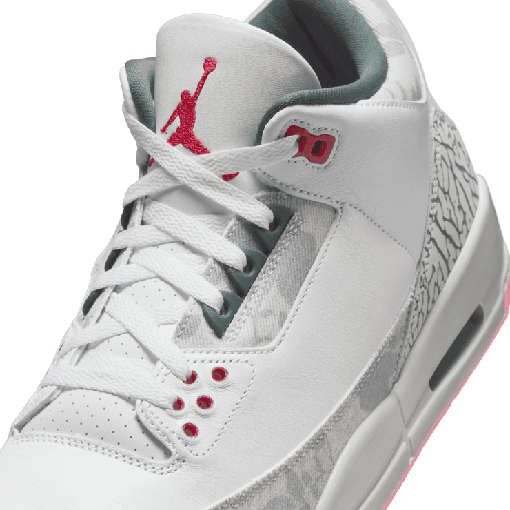 Jordan 3 Retro Wings (2024) Angle 4