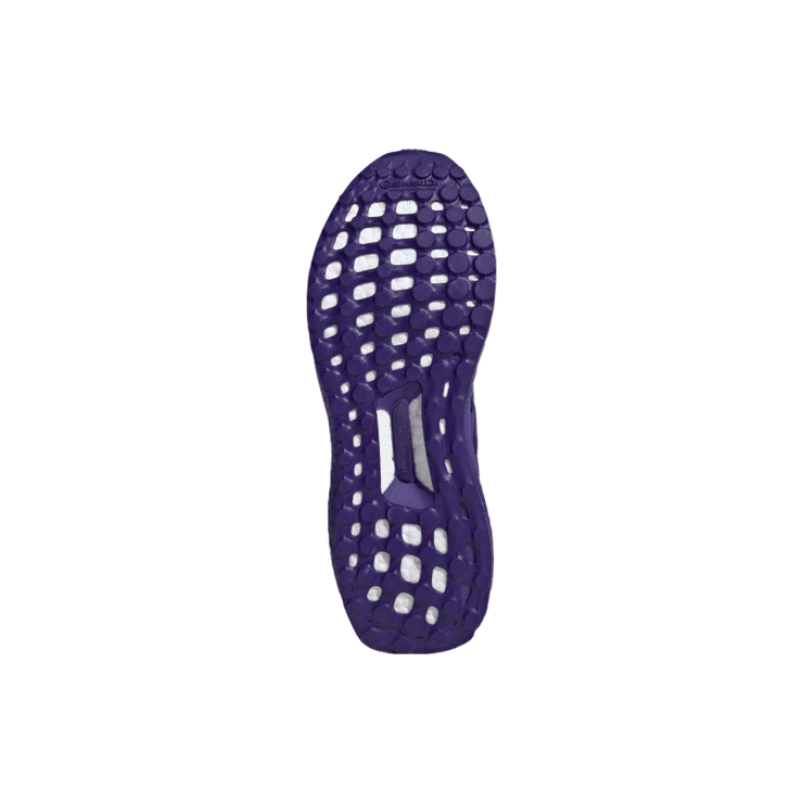 adidas Ultraboost 1.0  Collegiate Purple (W) Angle 1