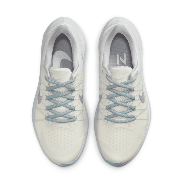 Nike Winflo 8 Premium Road Angle 2