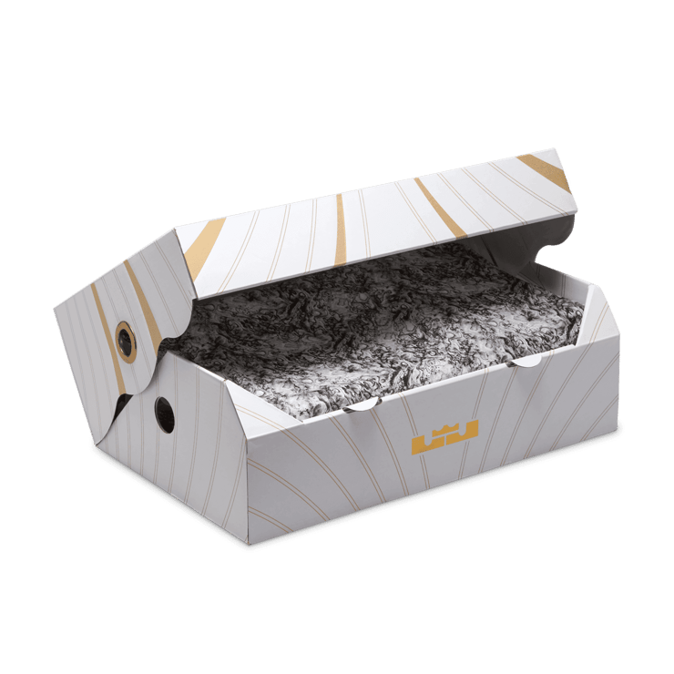 Nike LeBron 21 Resilient Angle 6