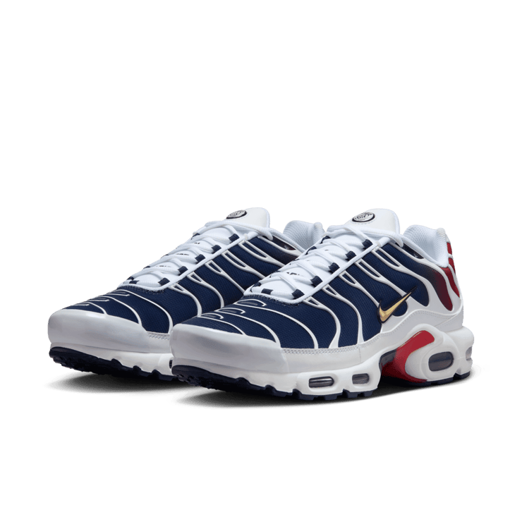 Nike Air Max Plus Paris Saint-Germain Angle 2