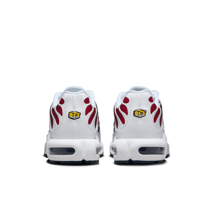 Nike Air Max Plus Paris Saint-Germain Angle 3