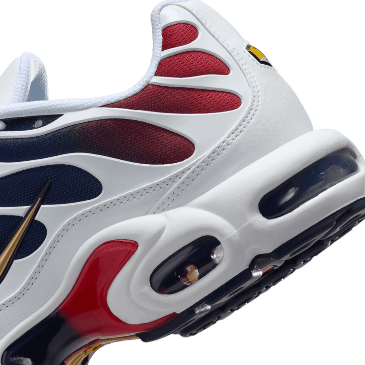 Nike Air Max Plus Paris Saint-Germain Angle 5