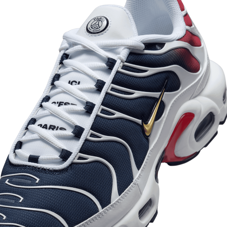 Nike Air Max Plus Paris Saint-Germain Angle 4