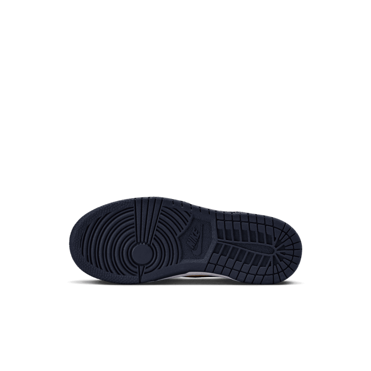 Nike Dunk Low 'Michigan' 2021 (PS) Angle 0