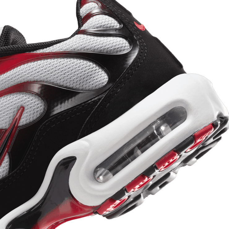 Nike Air Max Plus (PS) Angle 5