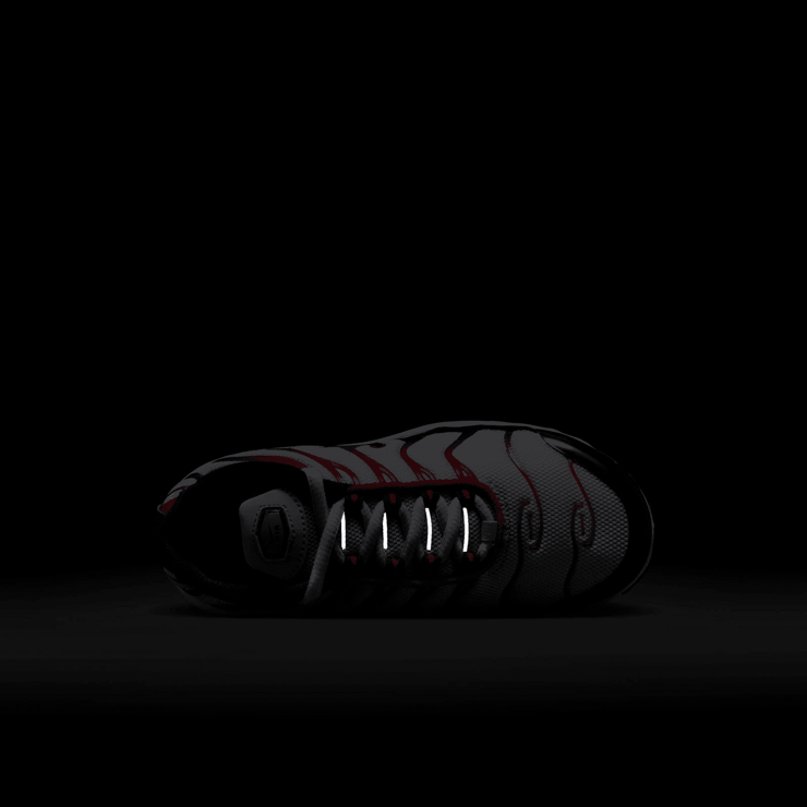 Nike Air Max Plus (PS) Angle 6