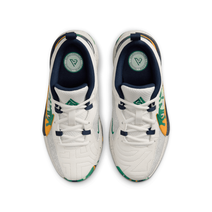 Nike Zoom Freak 5 Nike Camp (GS) Angle 1