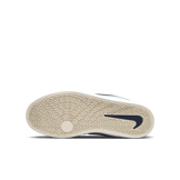 Nike SB Check Canvas Skate (GS) Angle 0