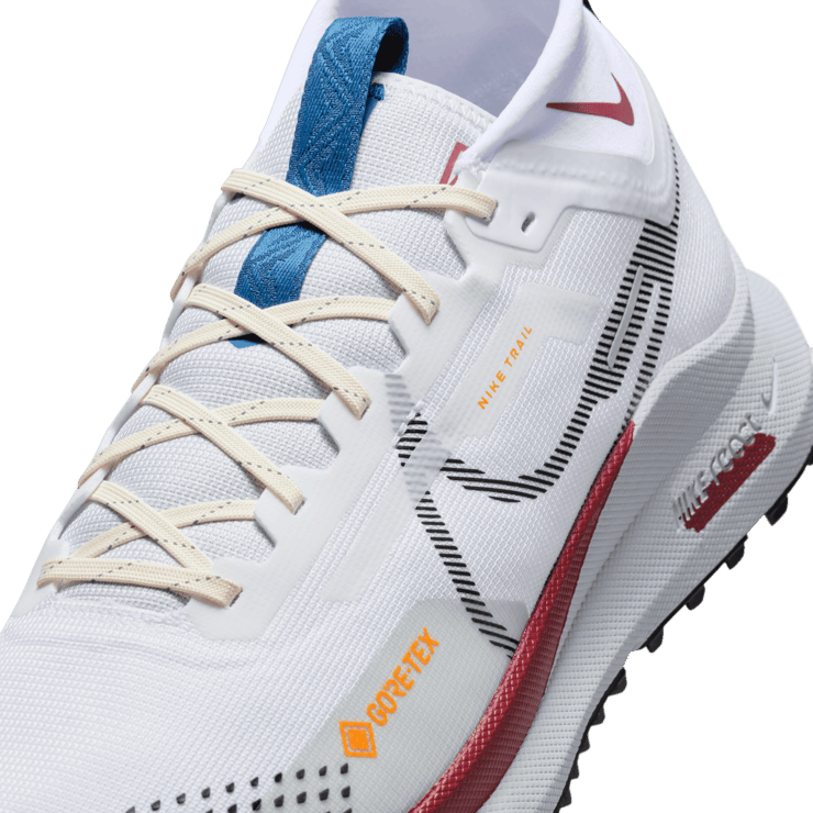 Nike Pegasus Trail 4 GORE-TEX Waterproof Trail Angle 4