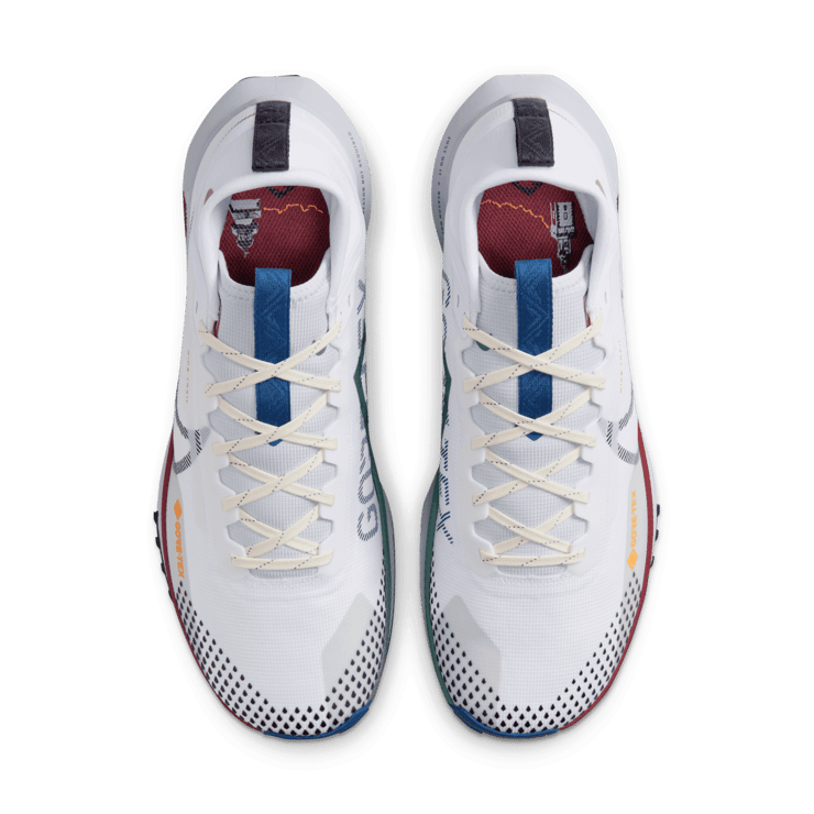 Nike Pegasus Trail 4 GORE-TEX Waterproof Trail Angle 1