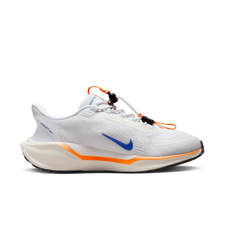 Nike Pegasus EasyOn FP Blueprint (W) Angle 1