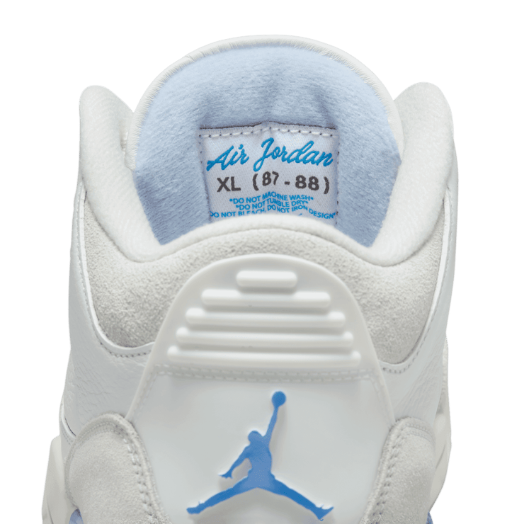 Air Jordan 3 Retro Lucky Shorts Angle 6