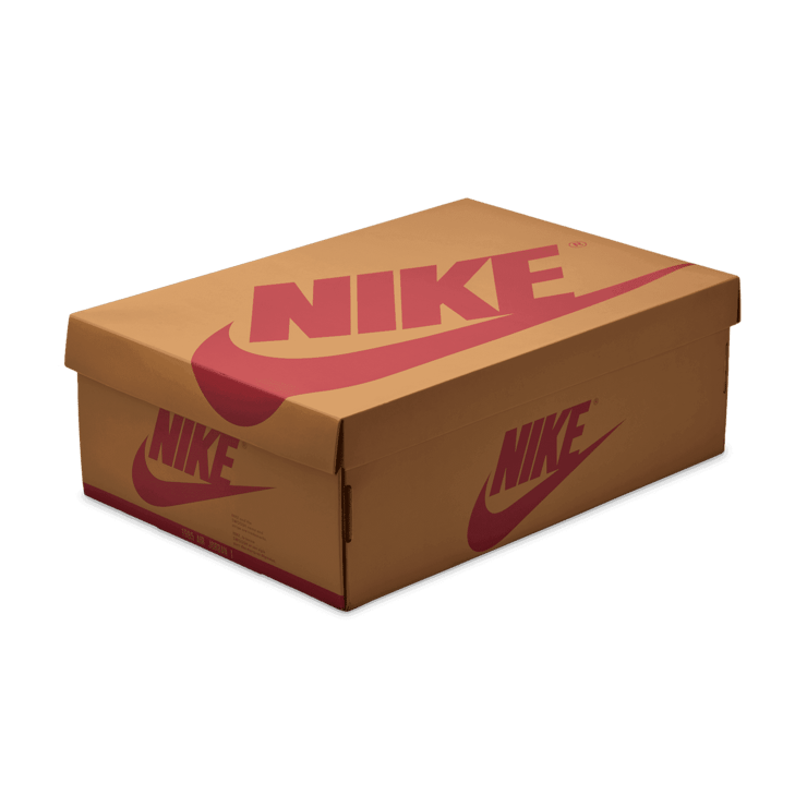 Air Jordan 1 Retro Low OG Rookie of the Year Angle 6