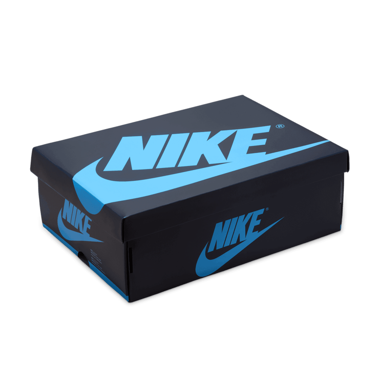 Air Jordan 1 Retro Low OG Obsidian UNC Angle 6