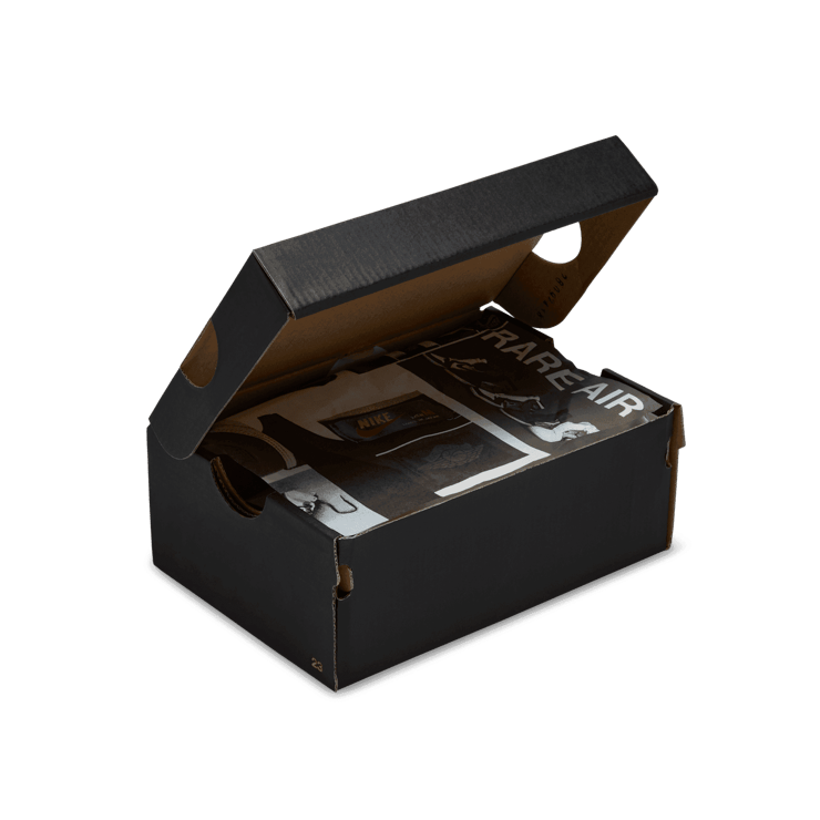 Air Jordan 1 Retro High OG Rare Air (TD) Angle 5