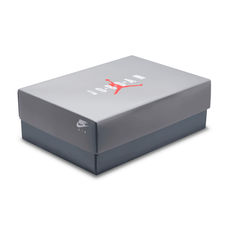 Air Jordan 9 Retro Cool Grey Angle 6