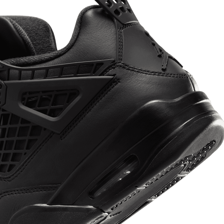 Air Jordan 4 Retro NET Black (W) Angle 5