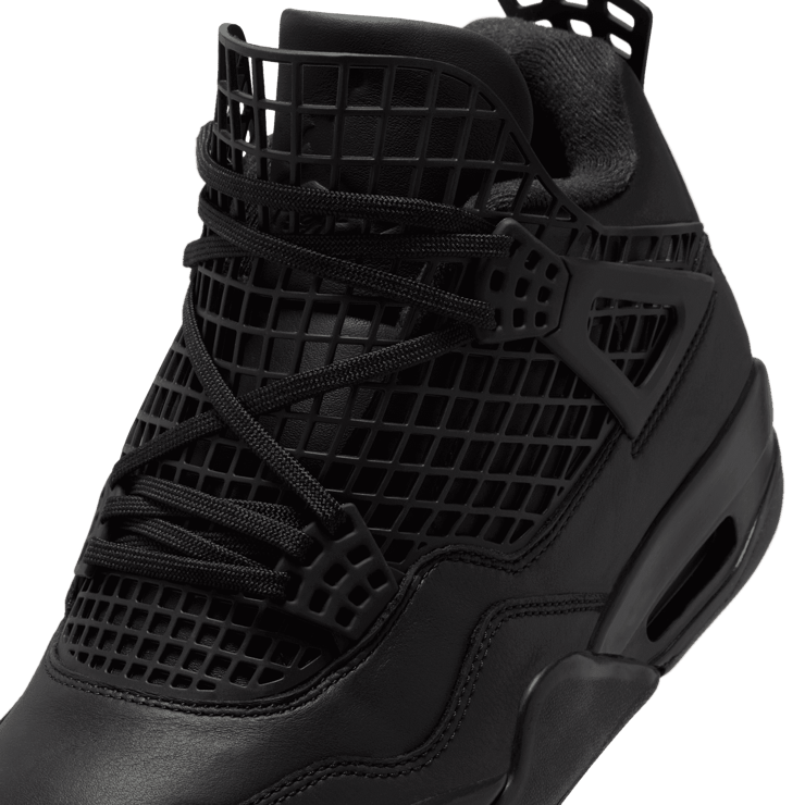 Air Jordan 4 Retro NET Black (W) Angle 4