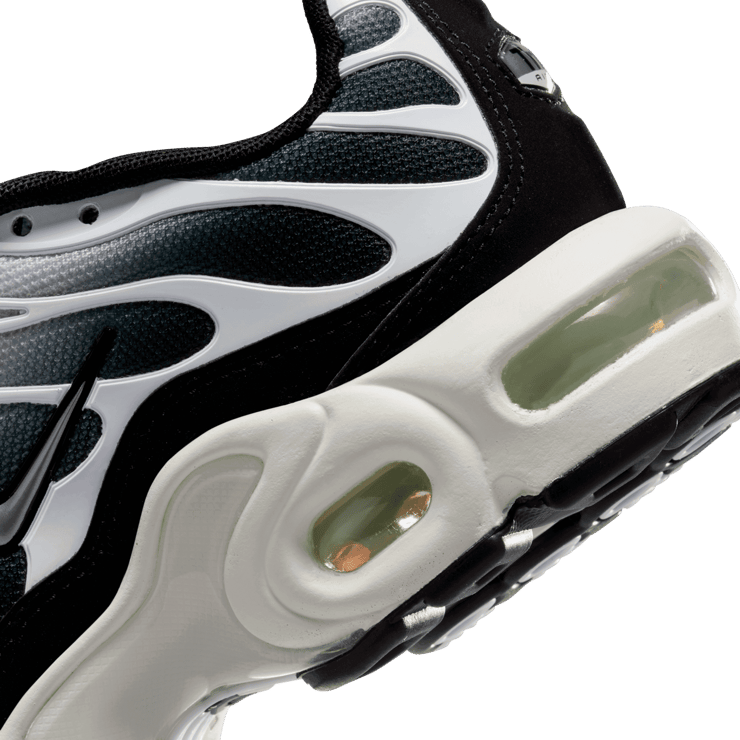 Nike Air Max Plus (GS) Angle 5