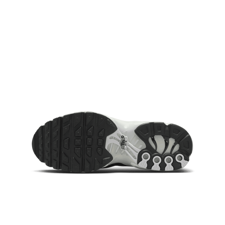 Nike Air Max Plus (GS) Angle 0