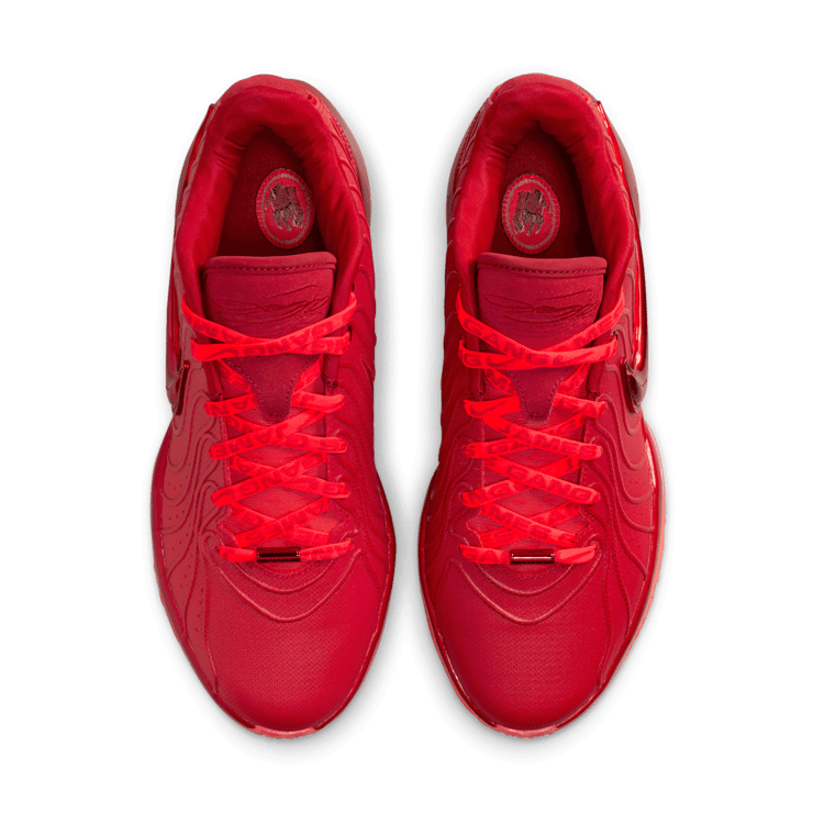 Nike LeBron 21 Devotion Angle 1