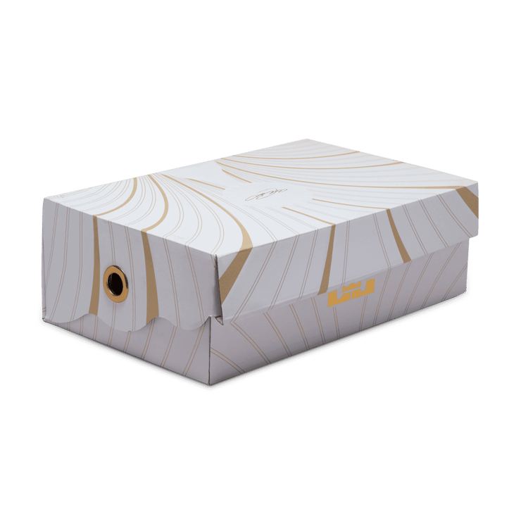 Nike LeBron 21 Devotion Angle 7