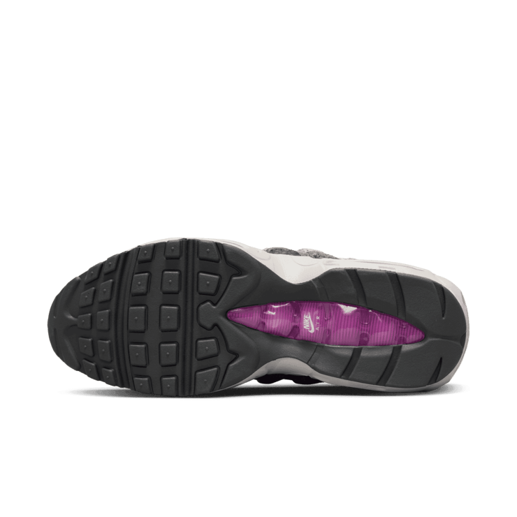 Nike Air Max 95 Viotech Anthracite (W) Angle 0