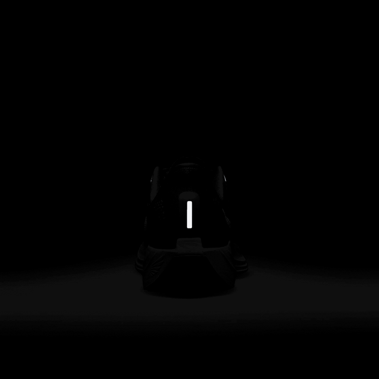 Nike Pegasus Plus Black Pure Platinum (W) Angle 7