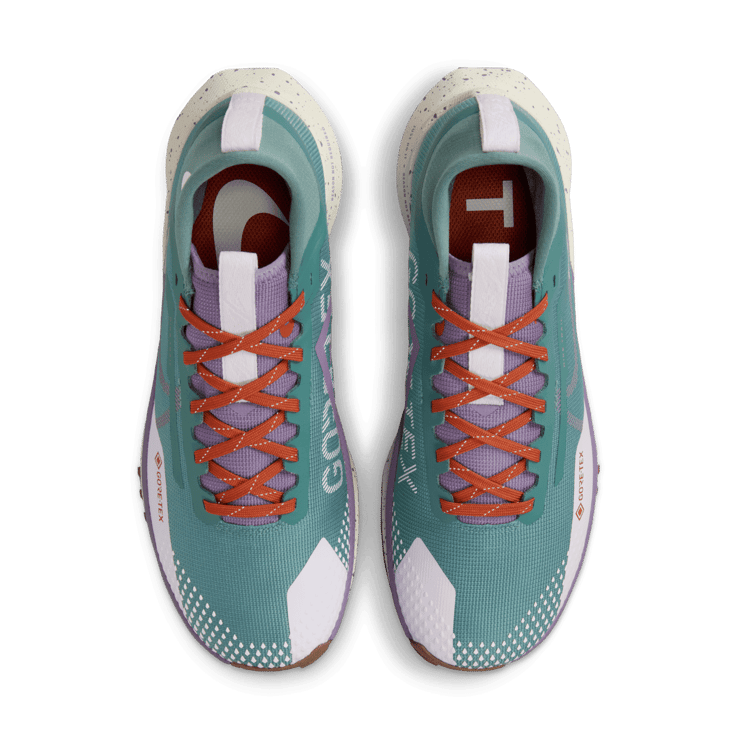 Nike Pegasus Trail 4 GORE-TEX Waterproof Trail Angle 1