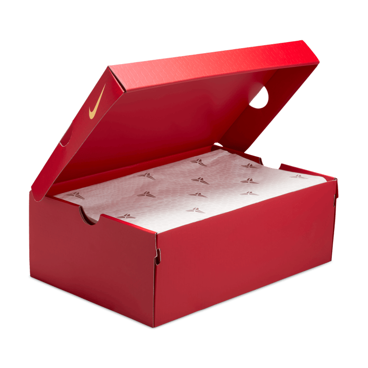 Nike Kobe 5 Protro LNY Eggplant (GS) Angle 8