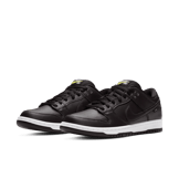 Civilist x Nike SB Dunk Low Thermography Angle 2