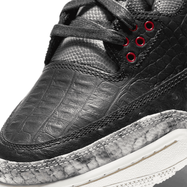 Jordan 3 Retro SE Animal Instinct 2.0 Angle 4