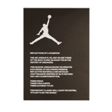 Air Jordan 6 Retro Reflections Angle 8
